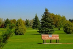 Aberdeen Golf Course